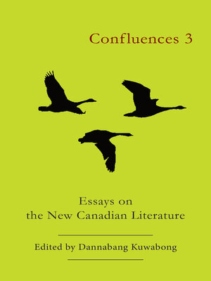 cover image of Confluences 3